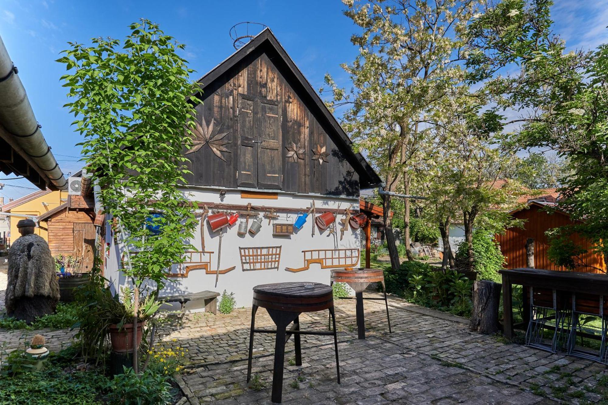 Ana Guesthouse Senta Exterior photo