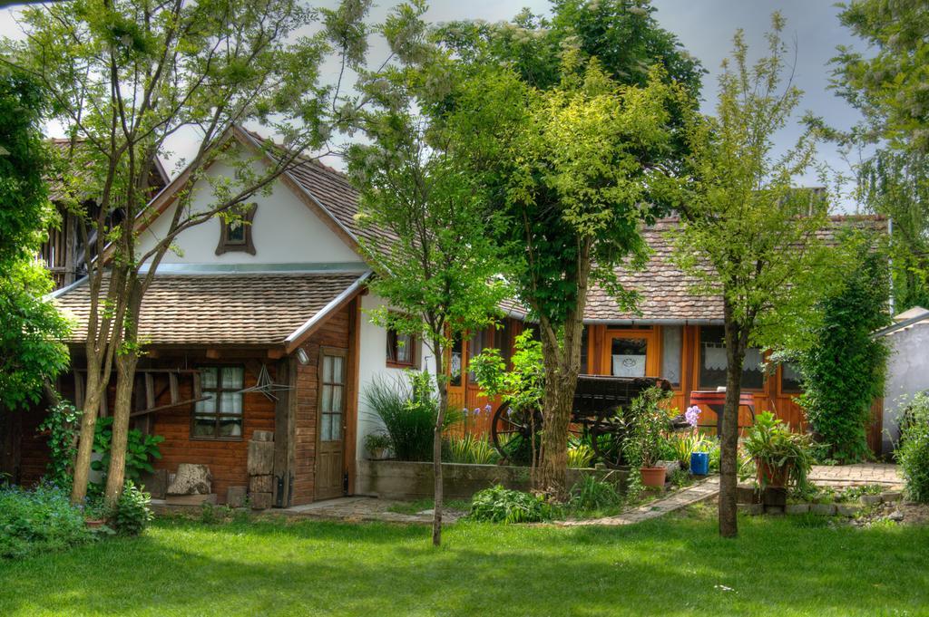 Ana Guesthouse Senta Exterior photo
